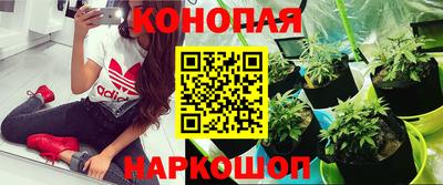 синтетический гашиш Балахна