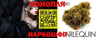 стаф Балаково