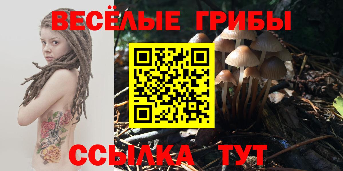 Галлюциногенные грибы прущие грибы  Вход с VPN  Воткинск 